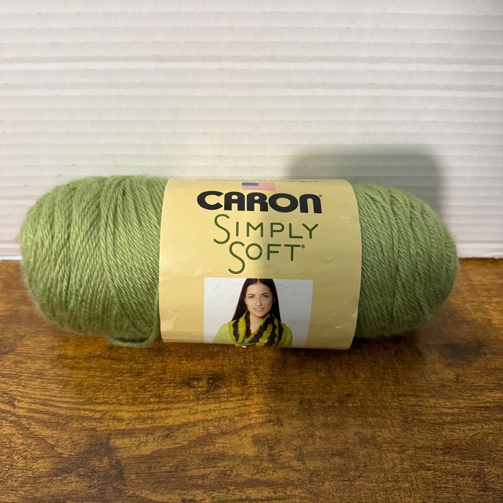 Caron Simply Soft Yarn Pistachio Green Med 4 Worsted 6oz 315yd Knitting Crochet
